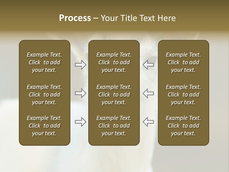 Sunrise Portrait Lifestyle PowerPoint Template