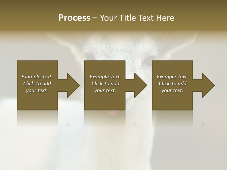 Sunrise Portrait Lifestyle PowerPoint Template