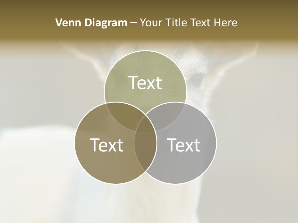 Sunrise Portrait Lifestyle PowerPoint Template