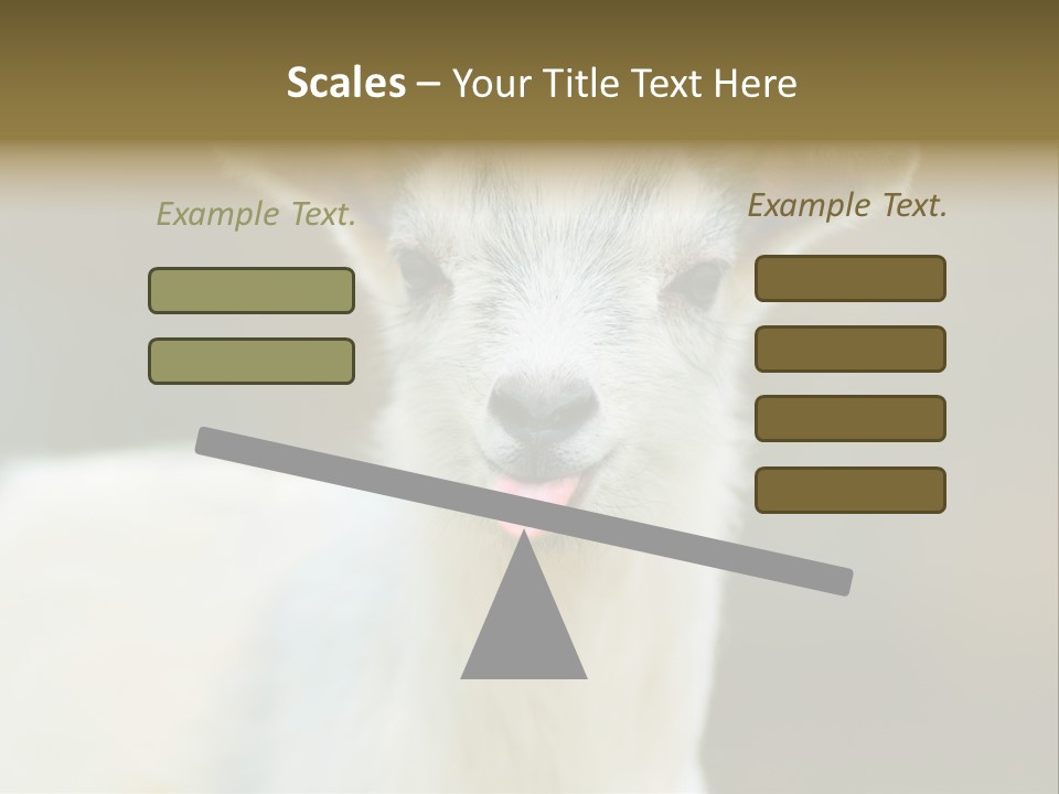 Sunrise Portrait Lifestyle PowerPoint Template
