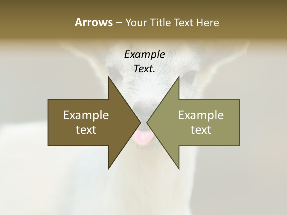 Sunrise Portrait Lifestyle PowerPoint Template