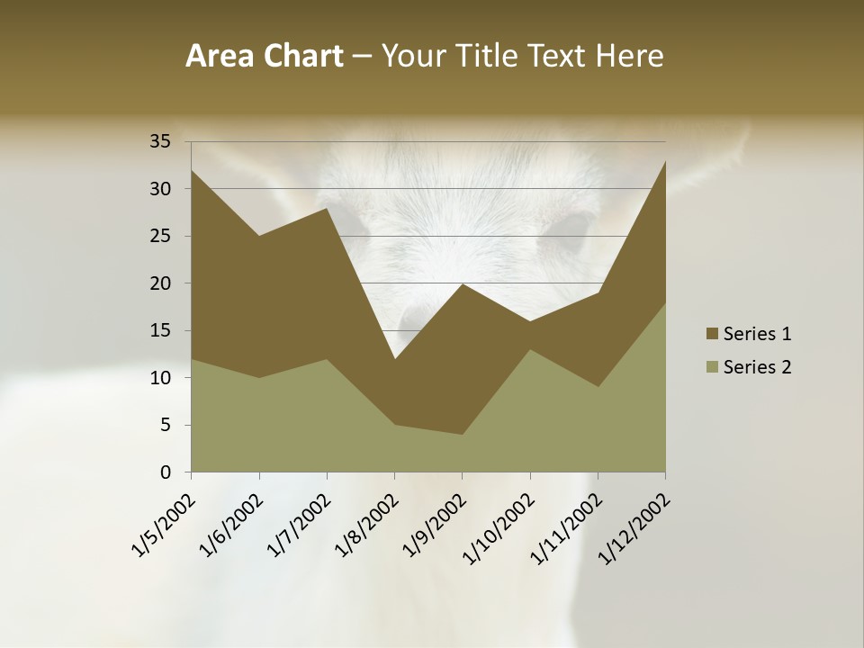 Sunrise Portrait Lifestyle PowerPoint Template