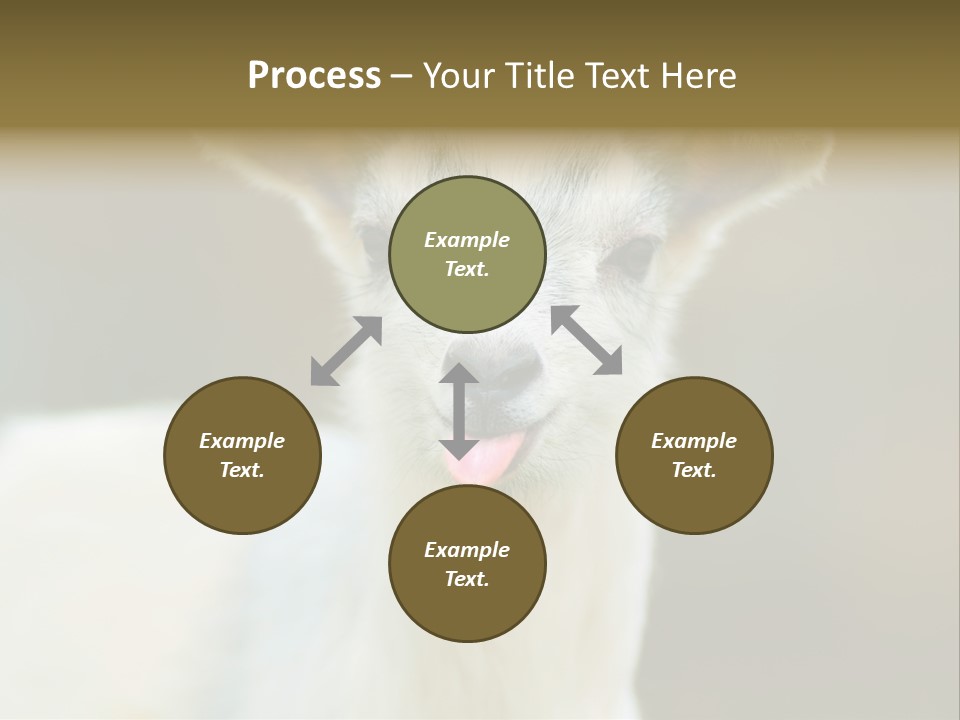 Sunrise Portrait Lifestyle PowerPoint Template