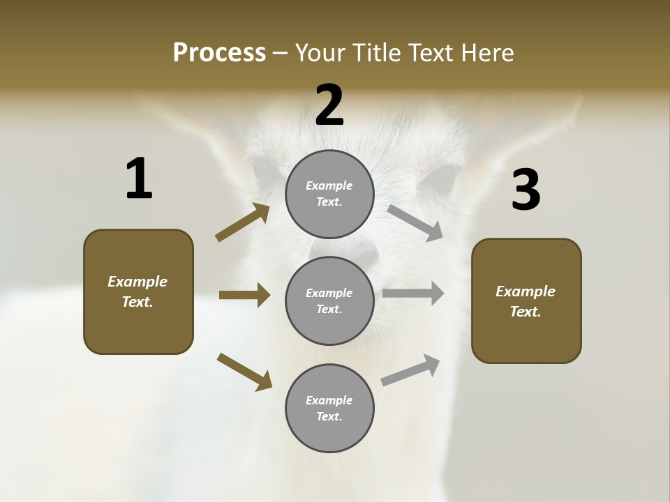 Sunrise Portrait Lifestyle PowerPoint Template