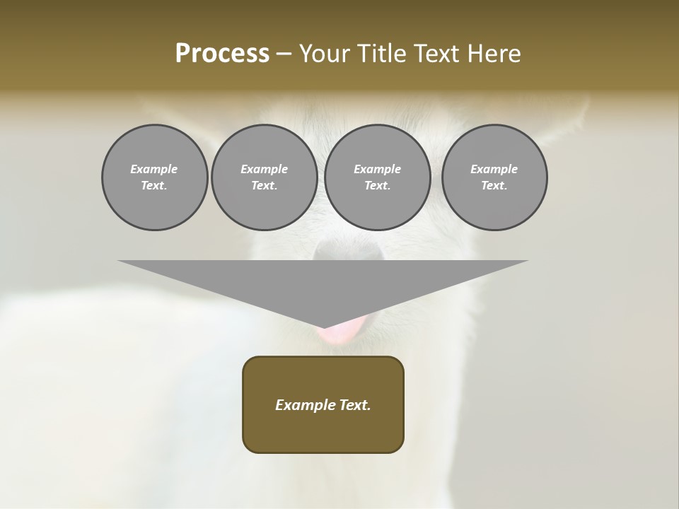 Sunrise Portrait Lifestyle PowerPoint Template