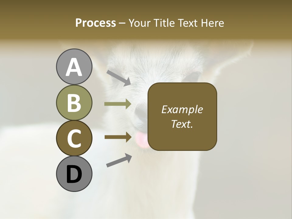Sunrise Portrait Lifestyle PowerPoint Template