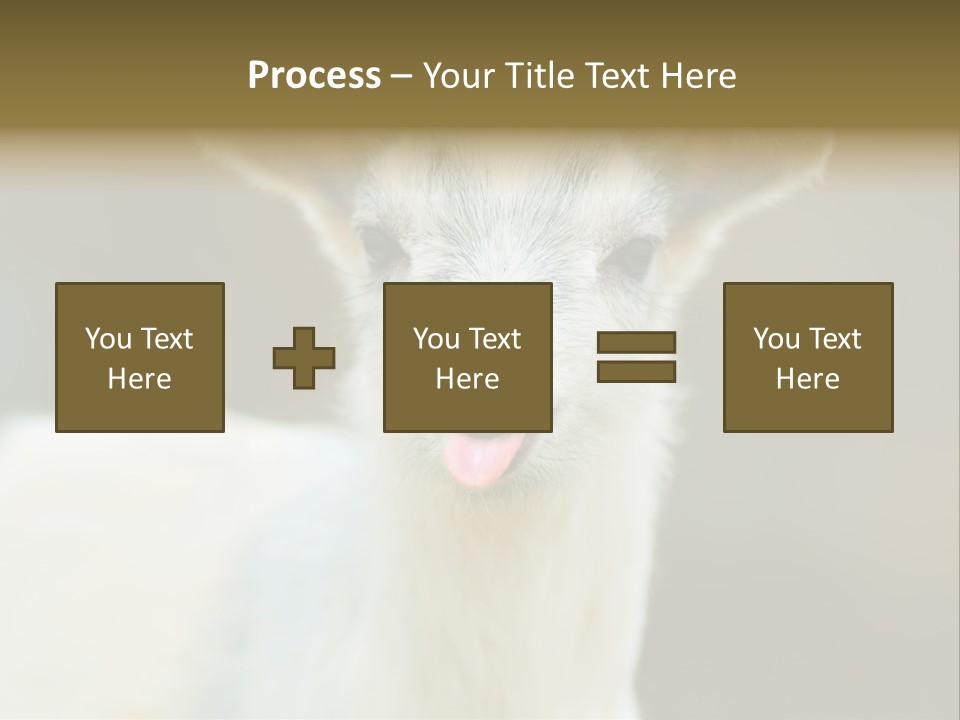 Sunrise Portrait Lifestyle PowerPoint Template