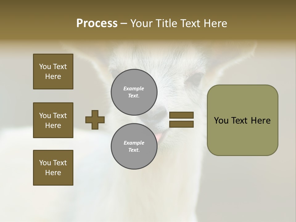 Sunrise Portrait Lifestyle PowerPoint Template