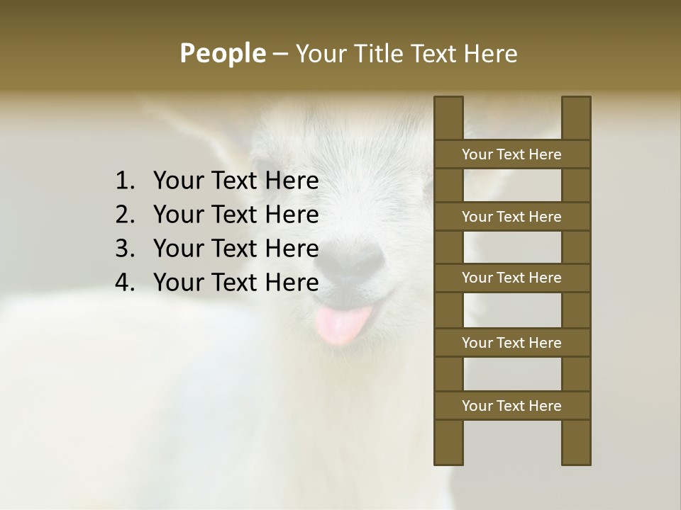 Sunrise Portrait Lifestyle PowerPoint Template