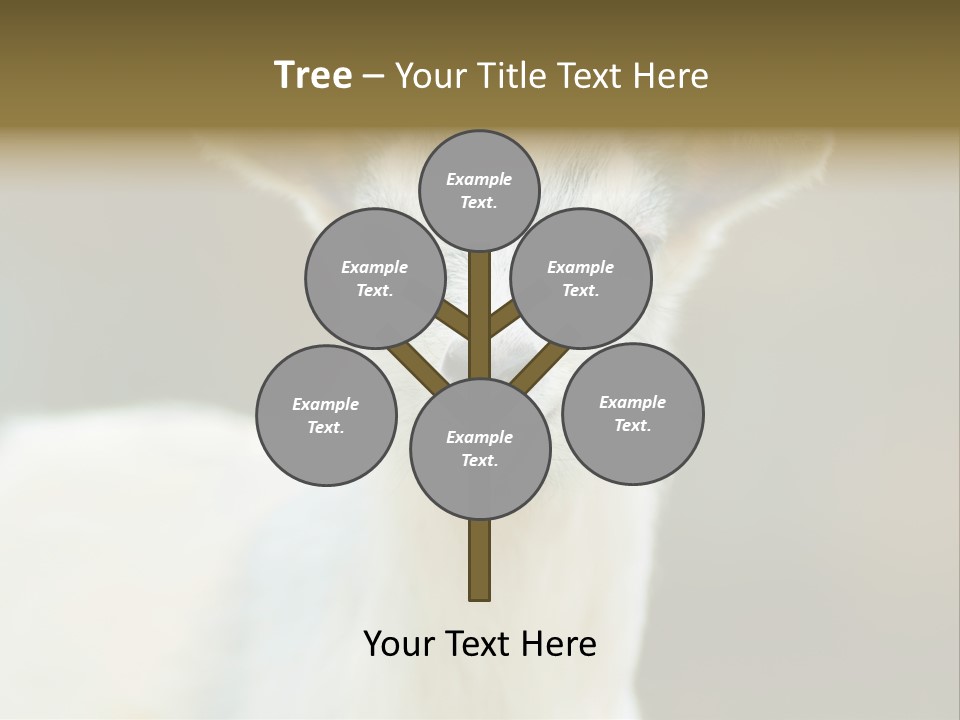 Sunrise Portrait Lifestyle PowerPoint Template