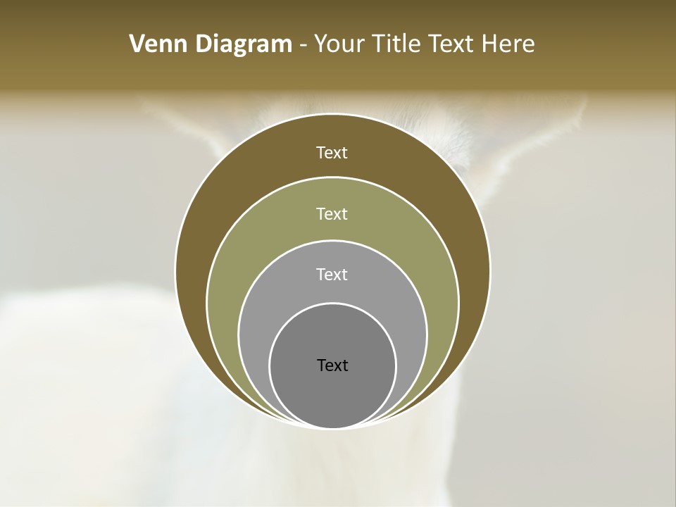 Sunrise Portrait Lifestyle PowerPoint Template