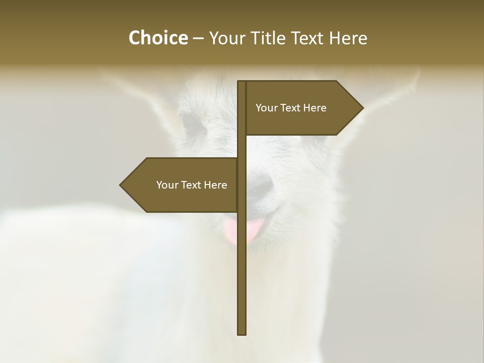 Sunrise Portrait Lifestyle PowerPoint Template