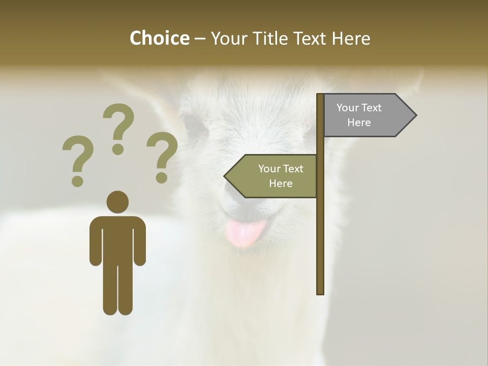 Sunrise Portrait Lifestyle PowerPoint Template