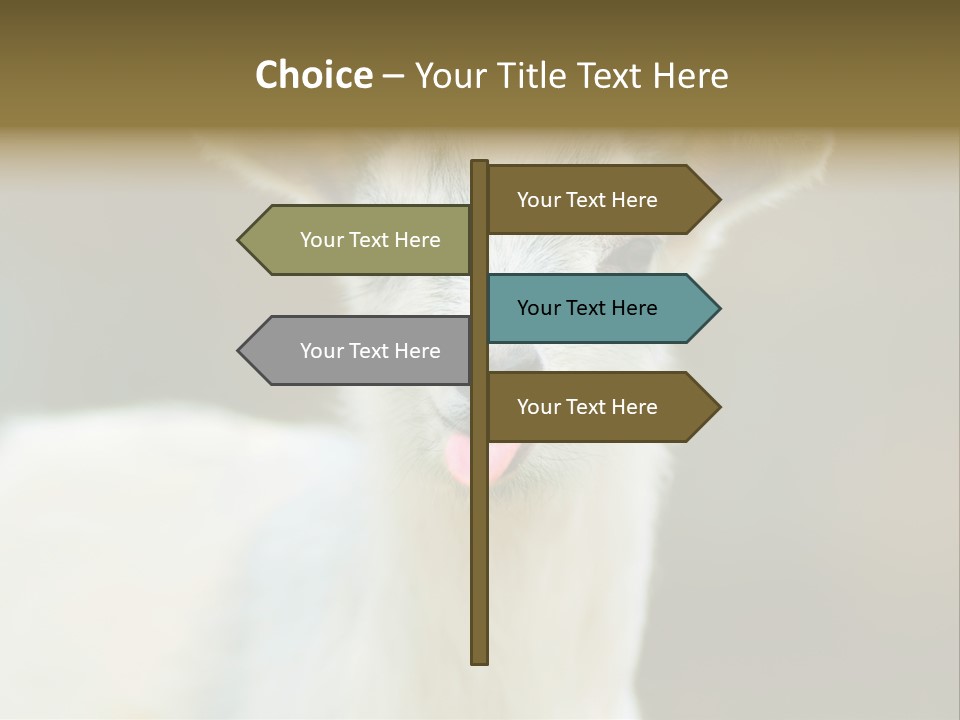 Sunrise Portrait Lifestyle PowerPoint Template