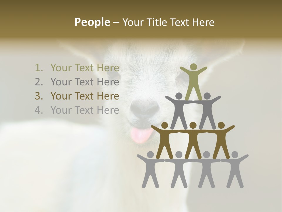 Sunrise Portrait Lifestyle PowerPoint Template