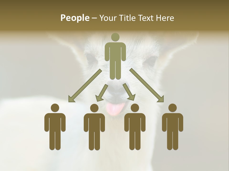 Sunrise Portrait Lifestyle PowerPoint Template