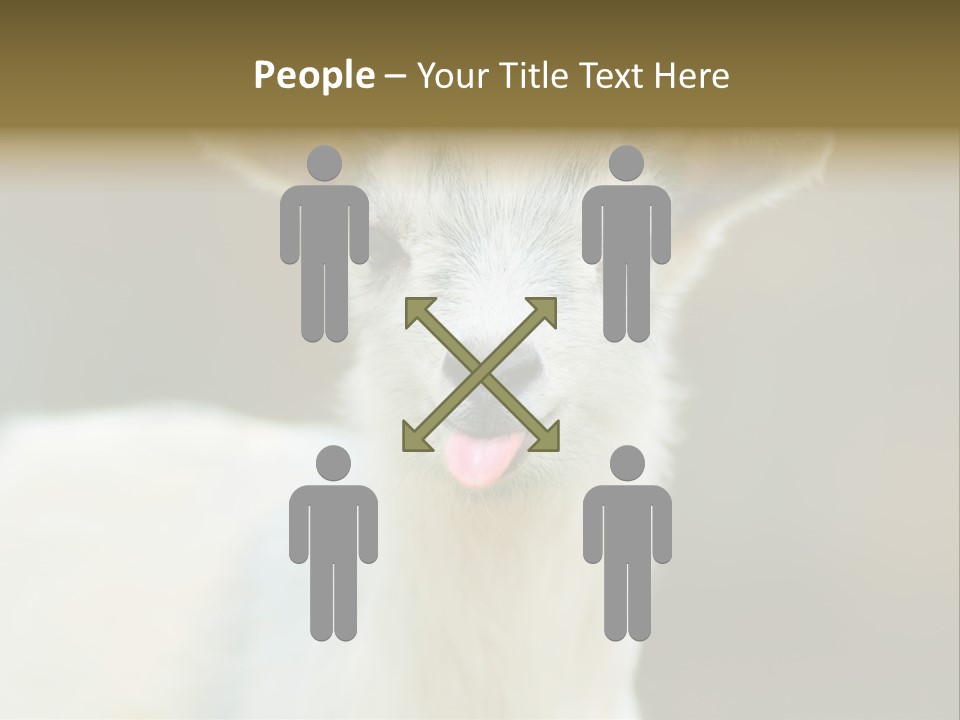 Sunrise Portrait Lifestyle PowerPoint Template