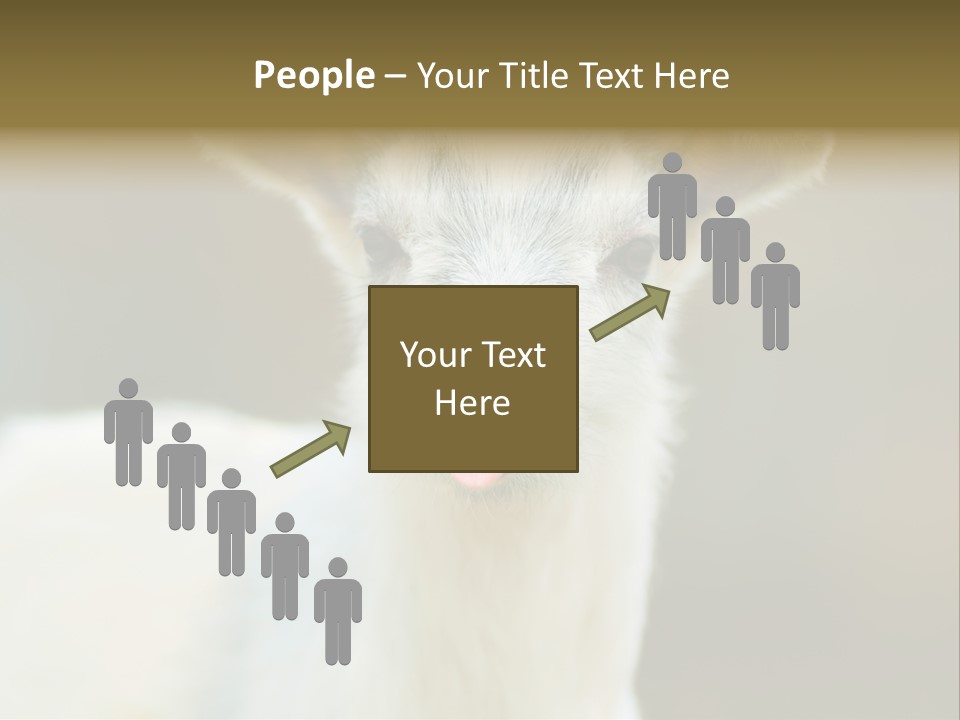 Sunrise Portrait Lifestyle PowerPoint Template