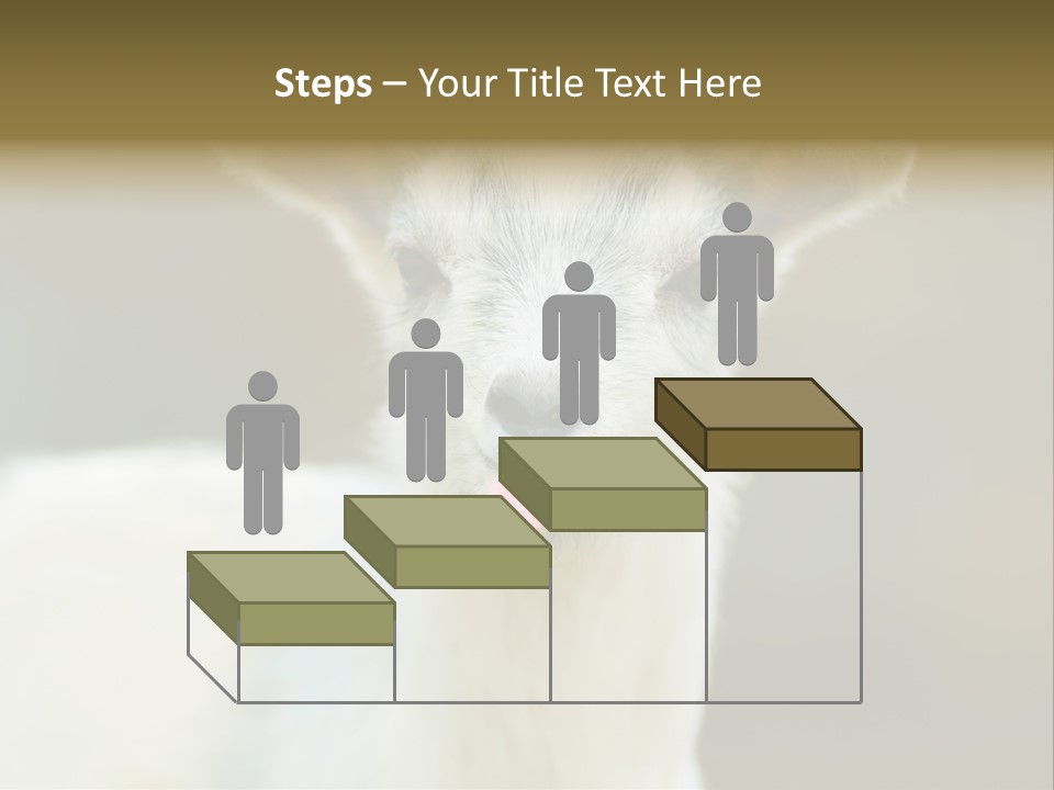 Sunrise Portrait Lifestyle PowerPoint Template