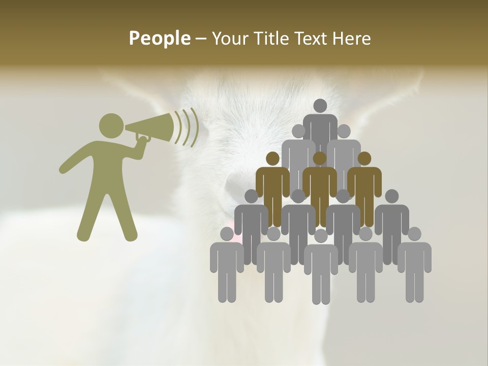 Sunrise Portrait Lifestyle PowerPoint Template