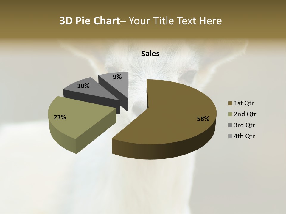 Sunrise Portrait Lifestyle PowerPoint Template