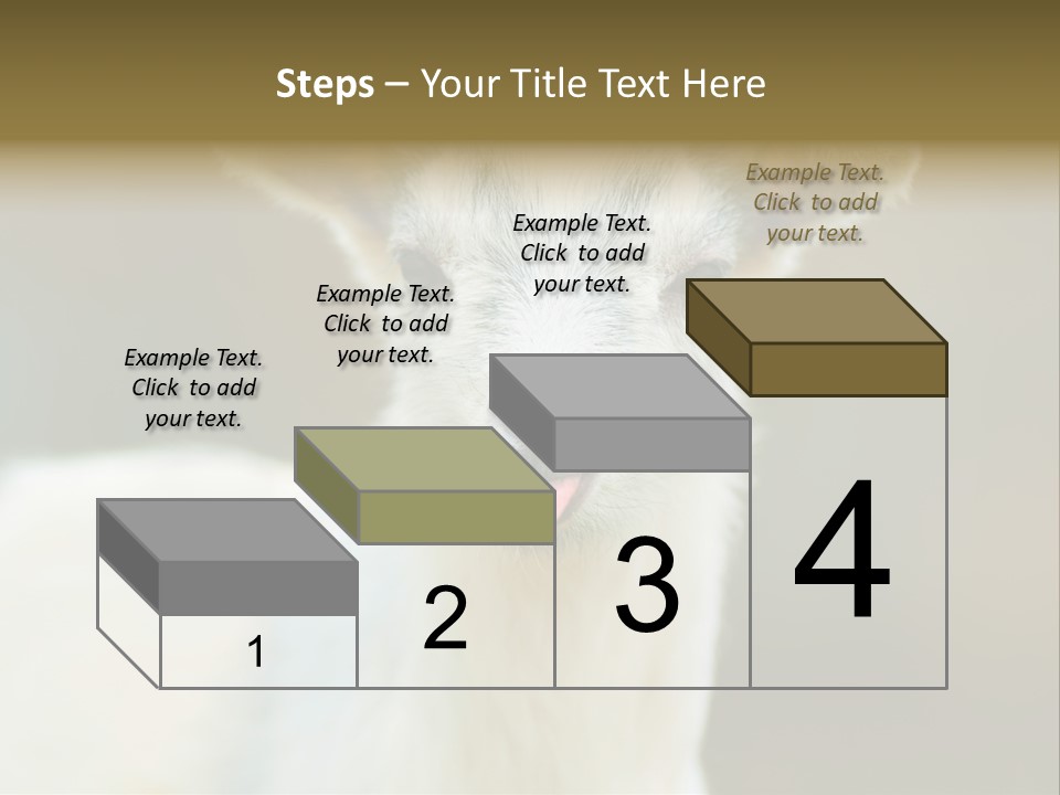 Sunrise Portrait Lifestyle PowerPoint Template