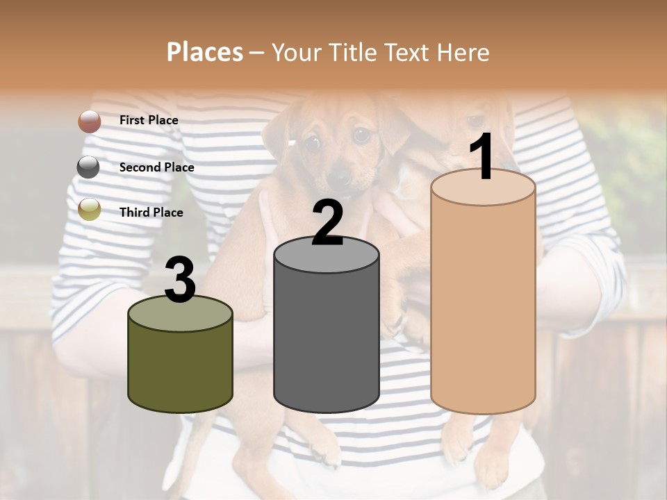 Woman Lifestyle Retired PowerPoint Template