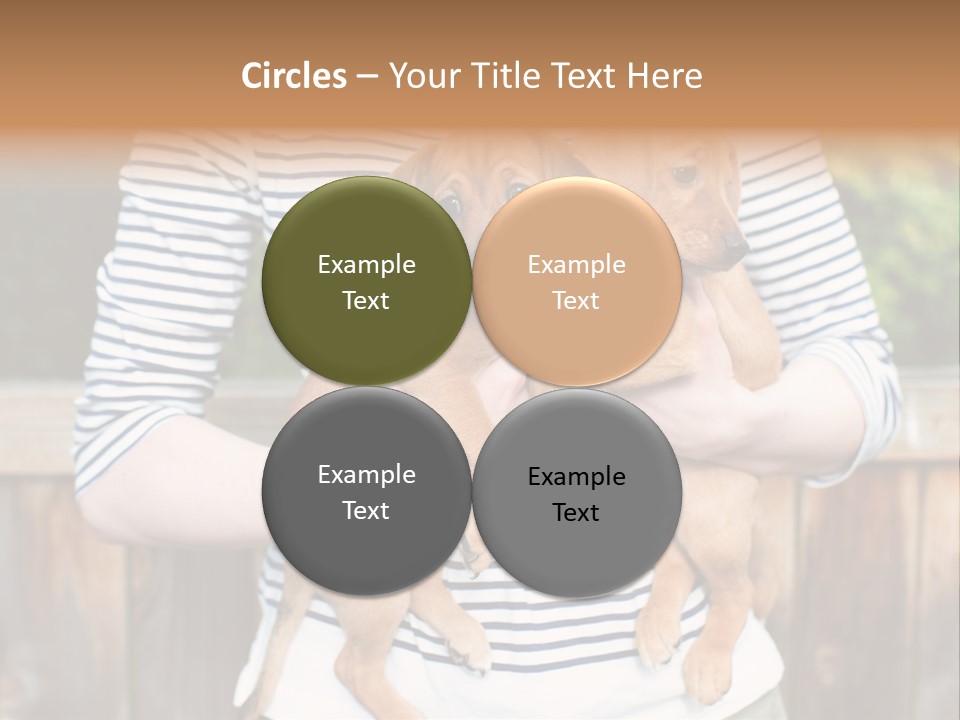 Woman Lifestyle Retired PowerPoint Template