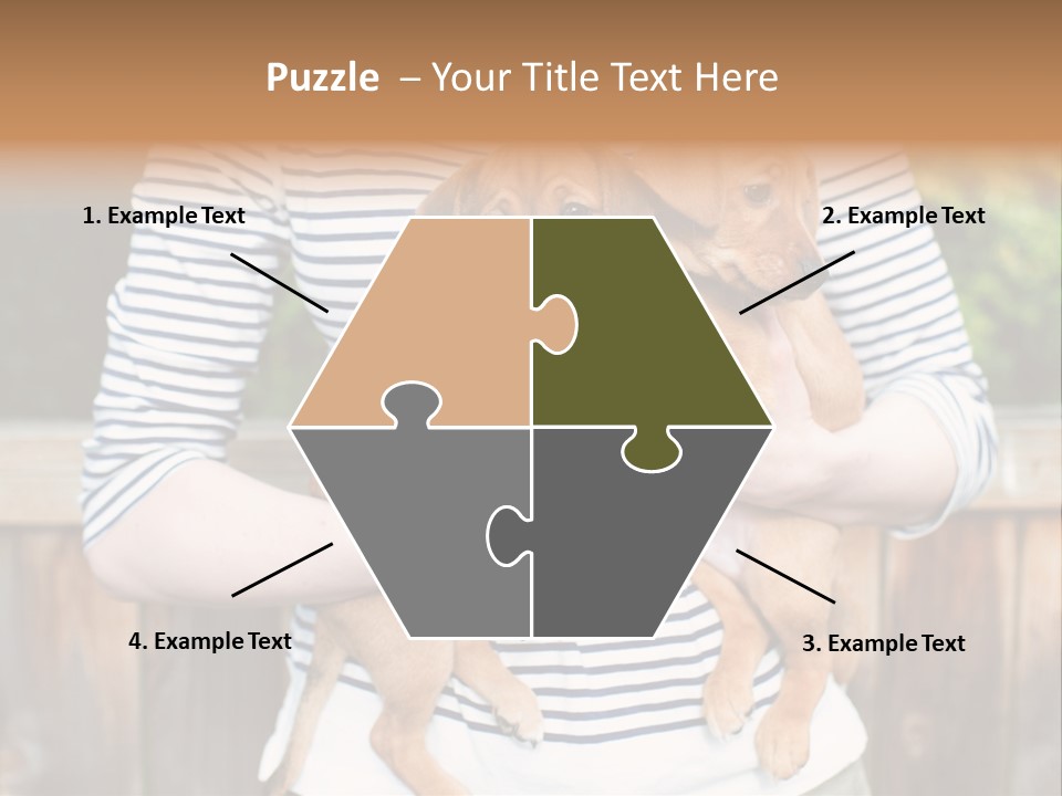 Woman Lifestyle Retired PowerPoint Template