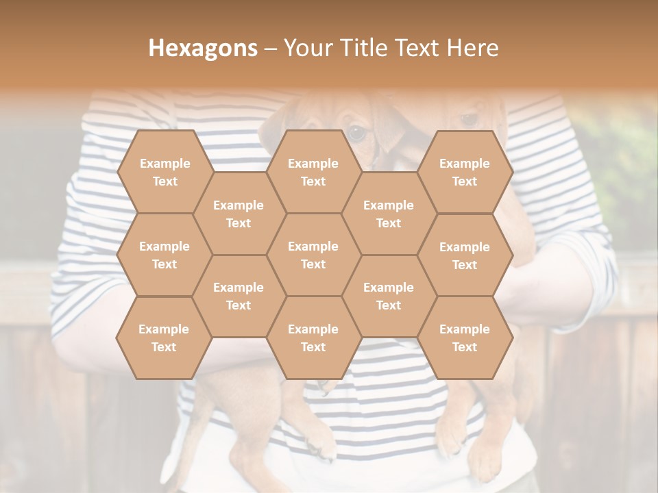 Woman Lifestyle Retired PowerPoint Template