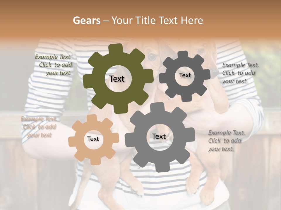 Woman Lifestyle Retired PowerPoint Template