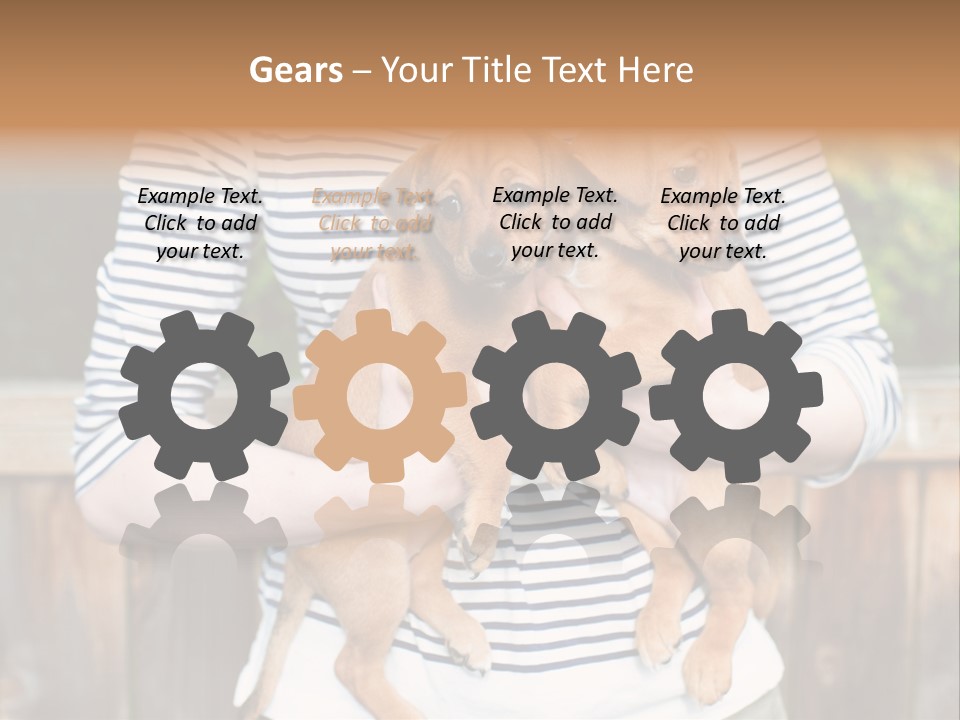 Woman Lifestyle Retired PowerPoint Template