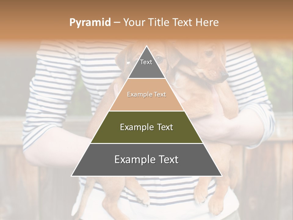 Woman Lifestyle Retired PowerPoint Template