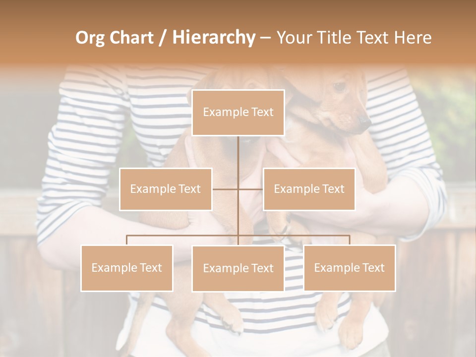 Woman Lifestyle Retired PowerPoint Template