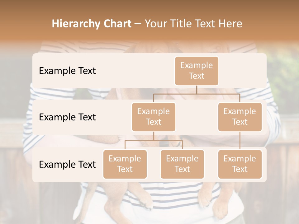 Woman Lifestyle Retired PowerPoint Template