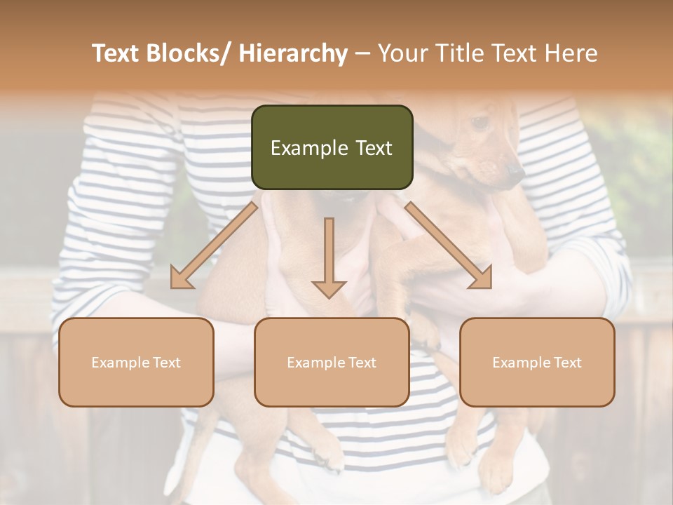 Woman Lifestyle Retired PowerPoint Template