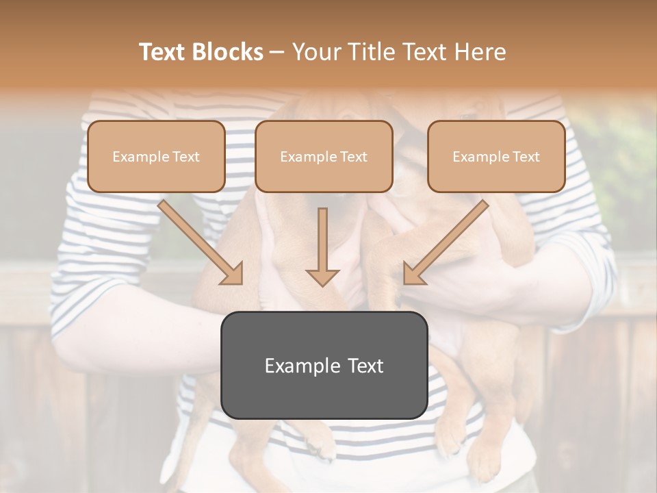 Woman Lifestyle Retired PowerPoint Template