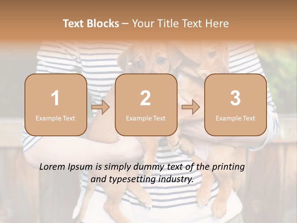 Woman Lifestyle Retired PowerPoint Template