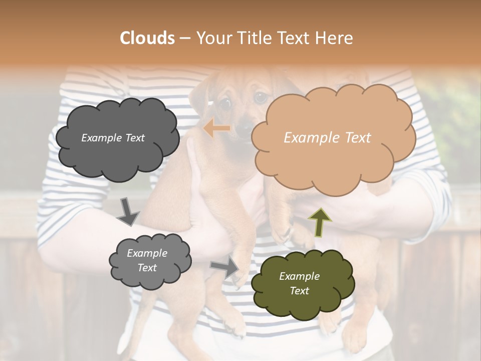 Woman Lifestyle Retired PowerPoint Template