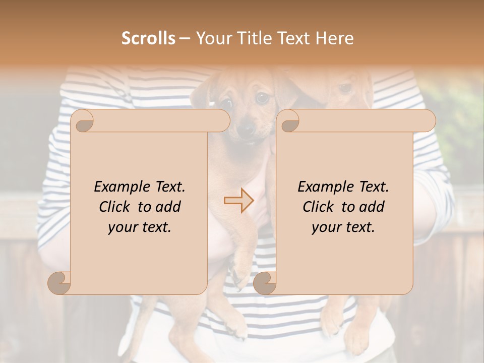Woman Lifestyle Retired PowerPoint Template