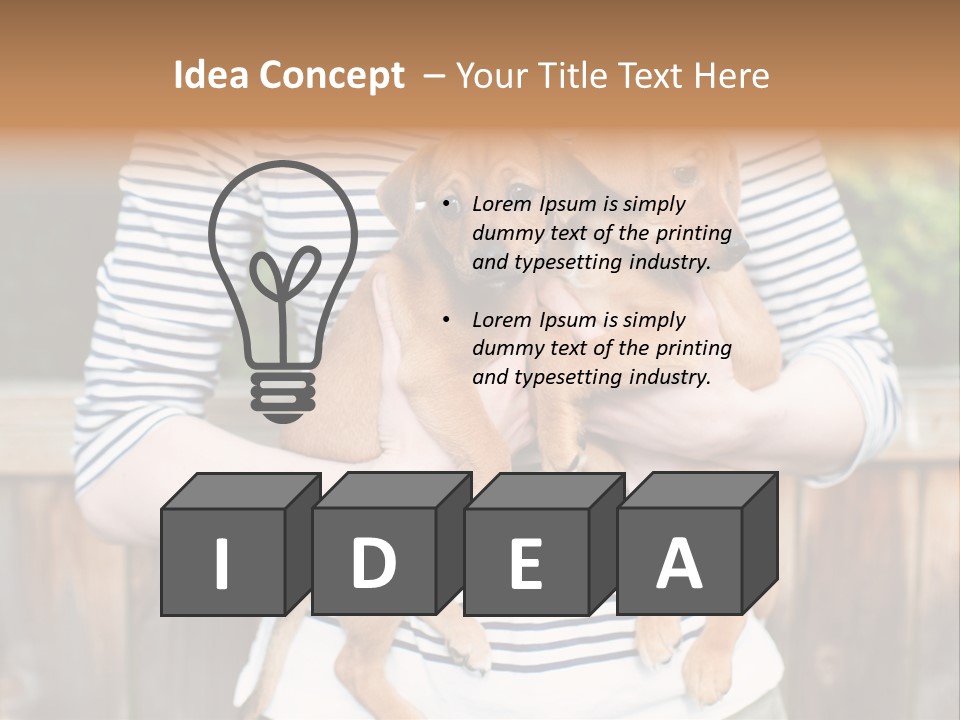 Woman Lifestyle Retired PowerPoint Template