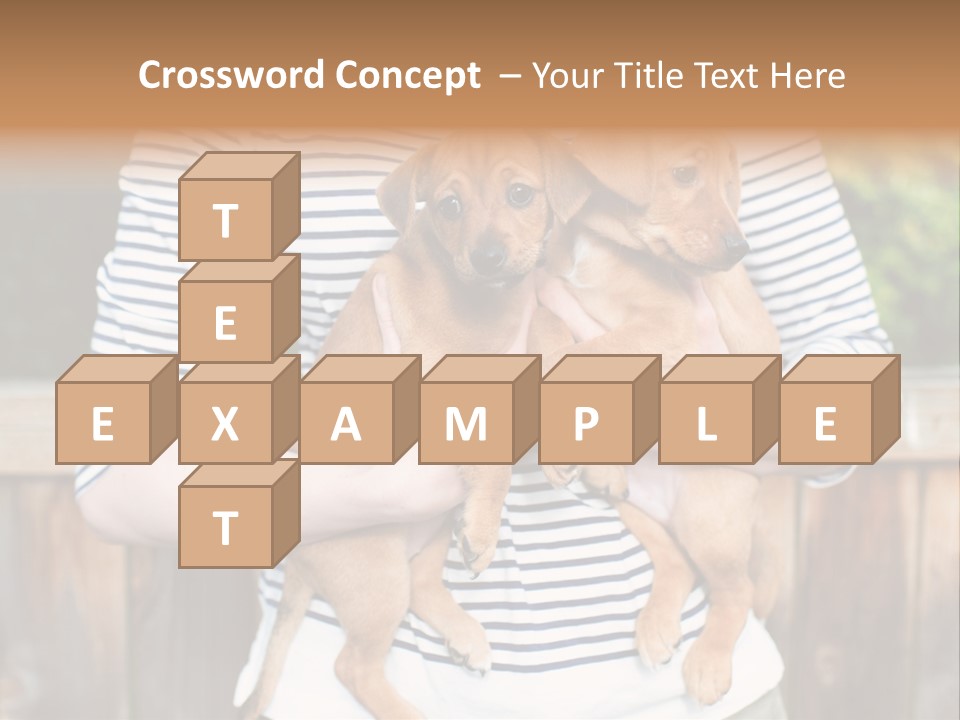 Woman Lifestyle Retired PowerPoint Template