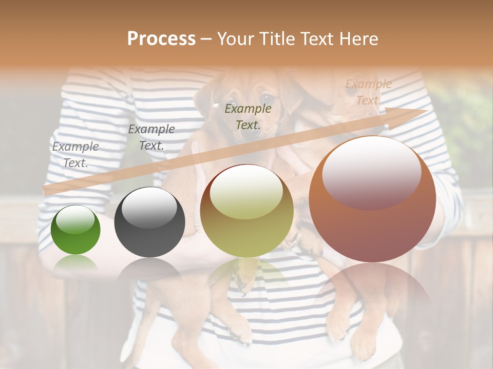 Woman Lifestyle Retired PowerPoint Template