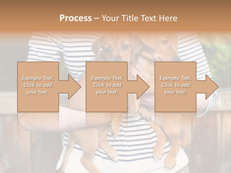 Woman Lifestyle Retired PowerPoint Template
