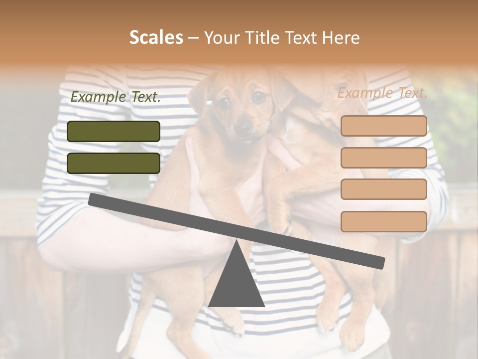 Woman Lifestyle Retired PowerPoint Template