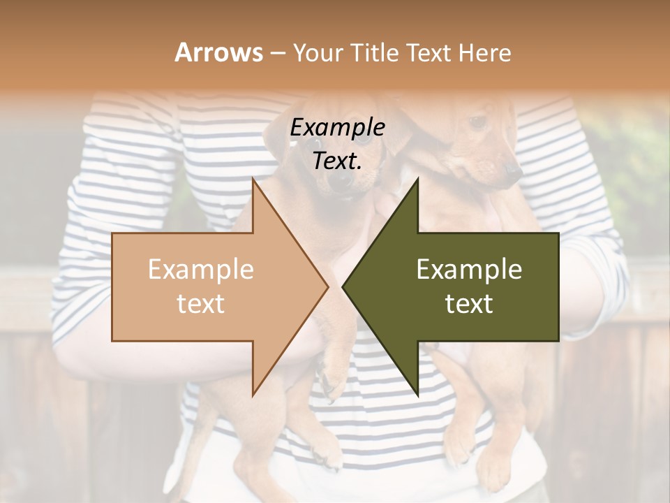 Woman Lifestyle Retired PowerPoint Template