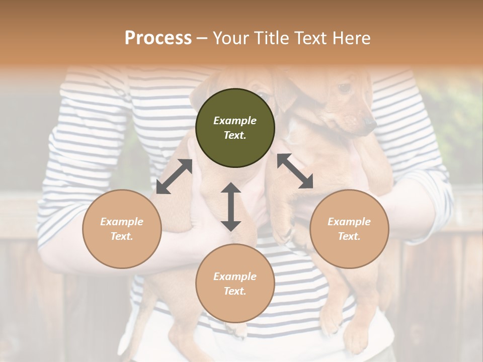 Woman Lifestyle Retired PowerPoint Template