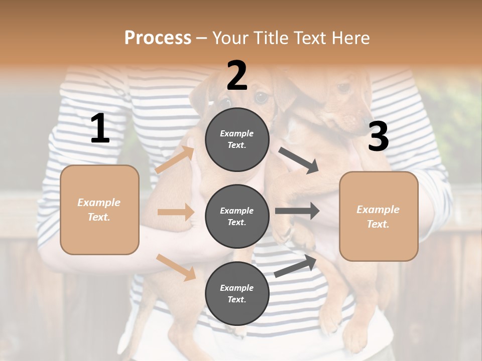 Woman Lifestyle Retired PowerPoint Template