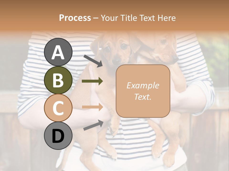 Woman Lifestyle Retired PowerPoint Template