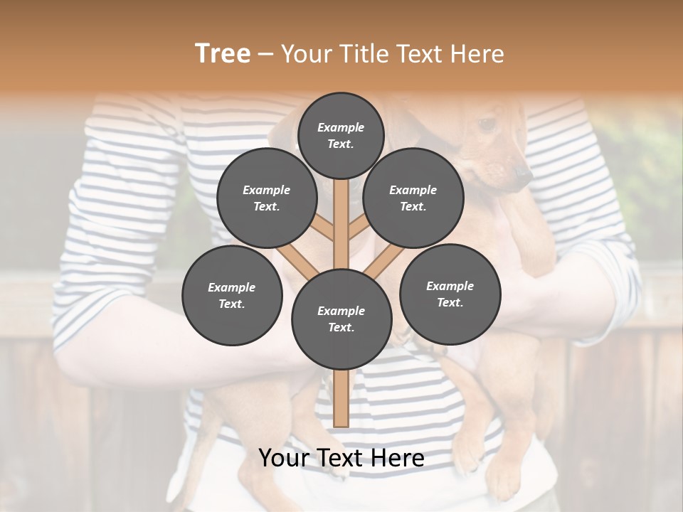 Woman Lifestyle Retired PowerPoint Template